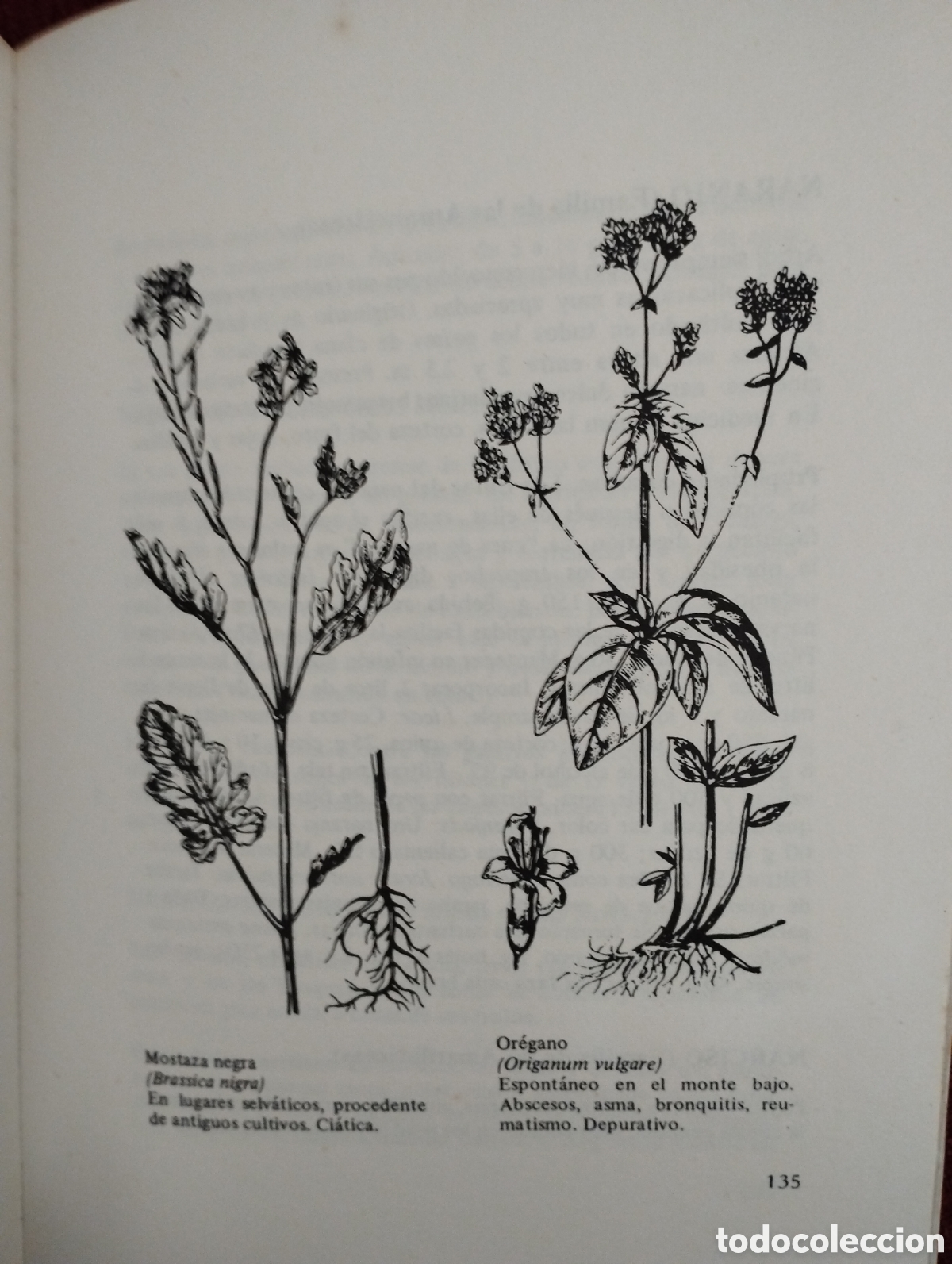 Libros: Curaci&oacute;n con las hierbas - Foto 3