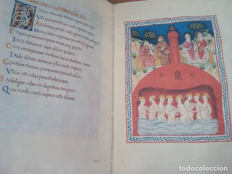 Libros: De Balneis Puteoli, c. 1455. Facs&iacute;mil. Scriptorium - Foto 1