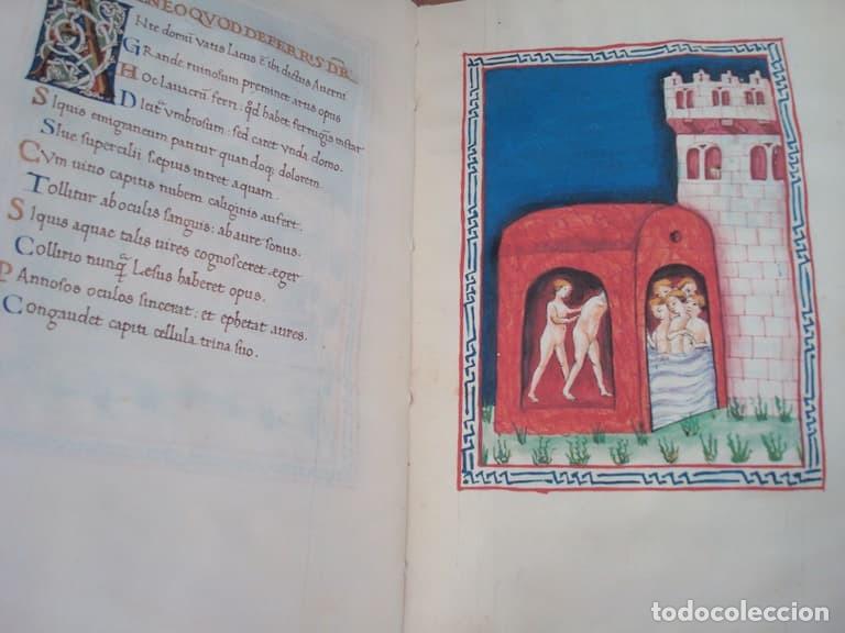 Libros: De Balneis Puteoli, c. 1455. Facs&iacute;mil. Scriptorium - Foto 4