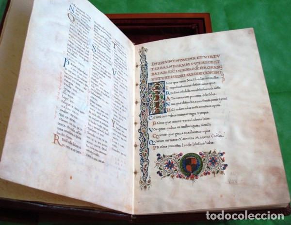 Libros: De Balneis Puteoli, c. 1455. Facs&iacute;mil. Scriptorium - Foto 5
