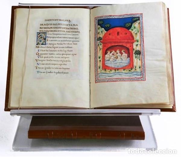 Libros: De Balneis Puteoli, c. 1455. Facs&iacute;mil. Scriptorium - Foto 6