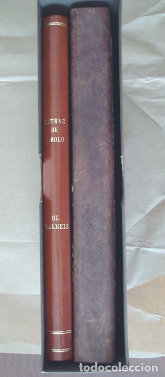 Libros: De Balneis Puteoli, c. 1455. Facs&iacute;mil. Scriptorium - Foto 8