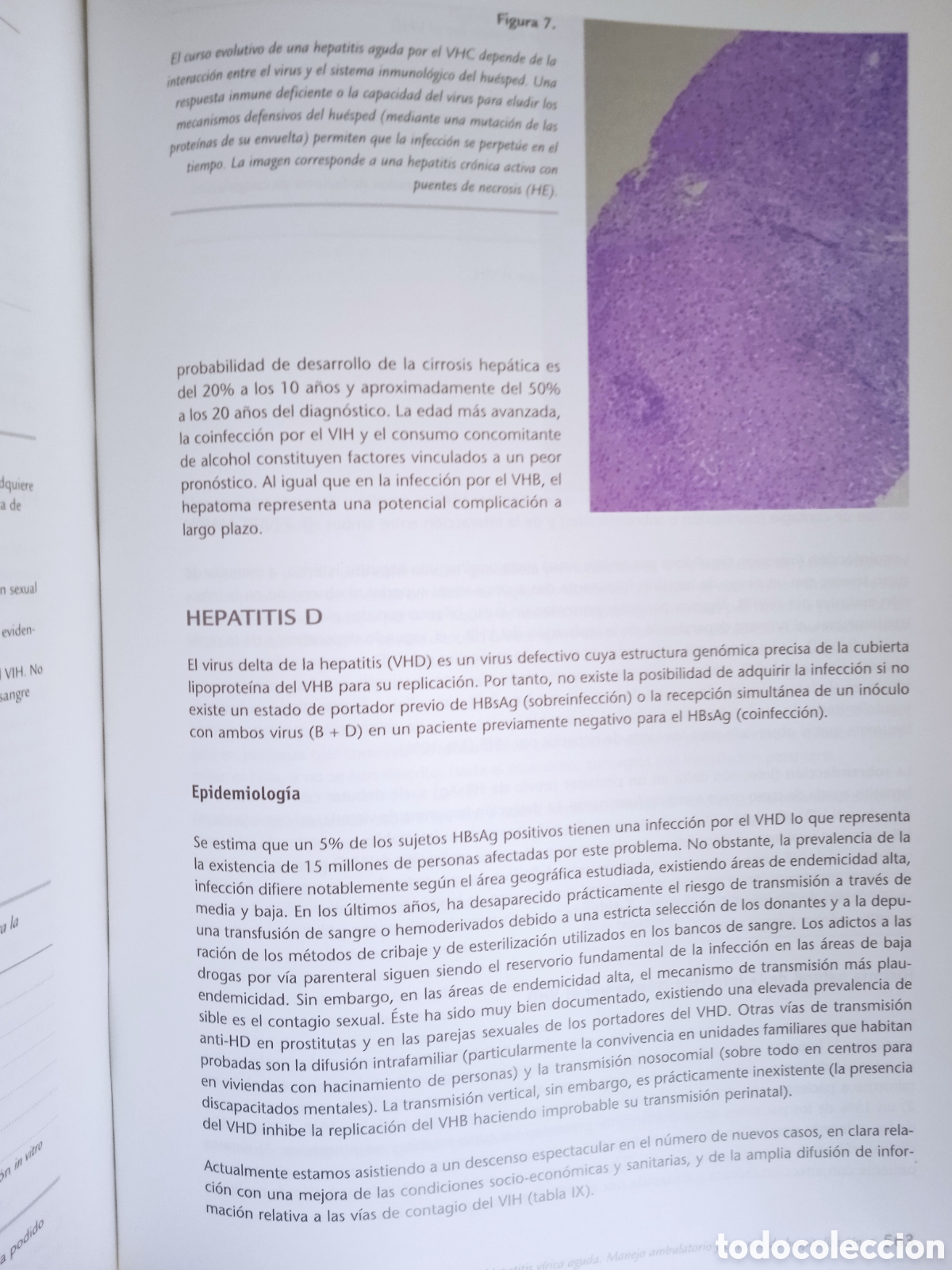 Libros: Principios B&aacute;sicos de Gastroenterolog&iacute;a - Foto 3