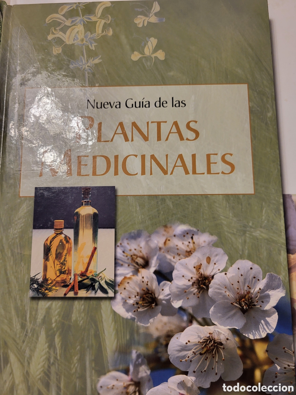 Libros: Libro plantas medicinales - Foto 1