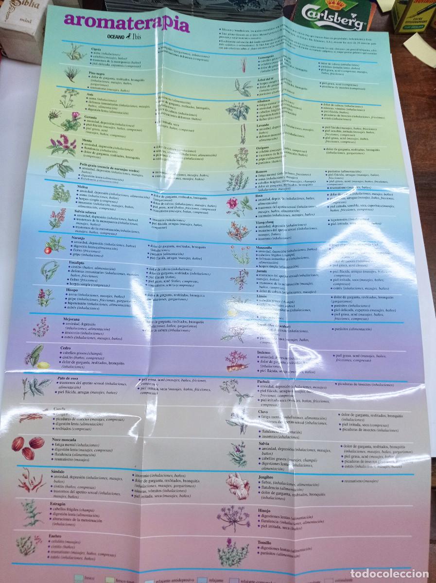 Libros: AROMATERAPIA. 2 POSTERS DE 65x42 cm. - Foto 2