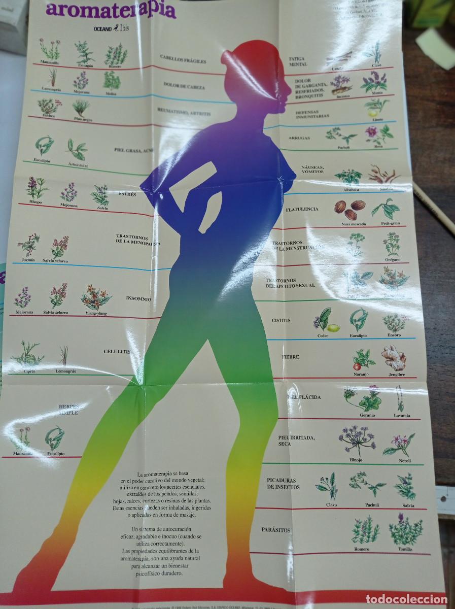 Libros: AROMATERAPIA. 2 POSTERS DE 65x42 cm. - Foto 3