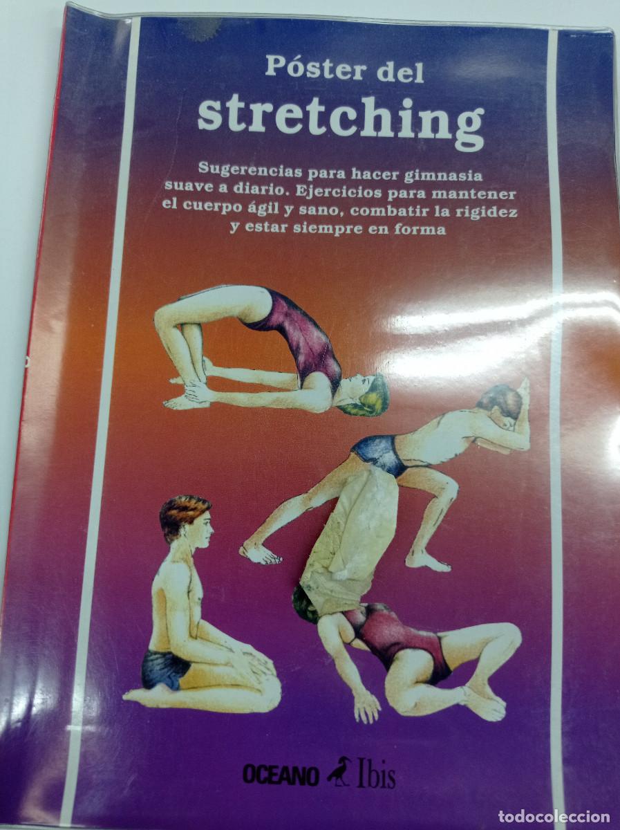 Libros: STRETCHING. - POSTER DE 65x42 cm. - Foto 1