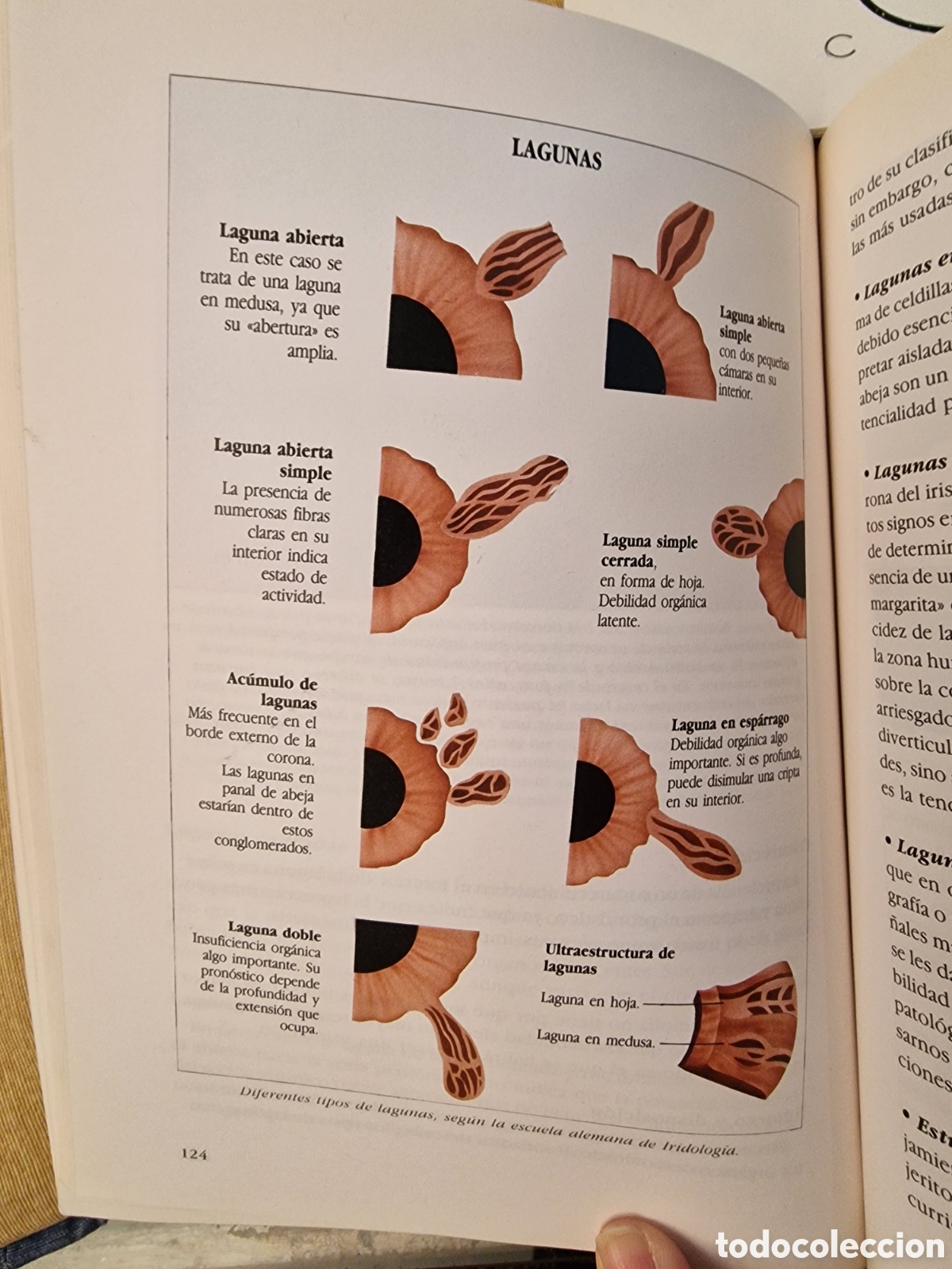 Libros: Iridologia de Josep Luis Berdonces - Foto 8
