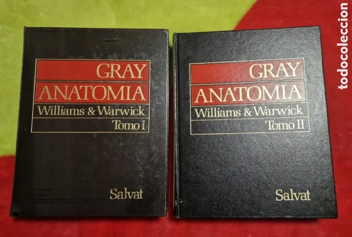 Libros: Anatomia de Gray. Williams/Warwick. - Foto 1