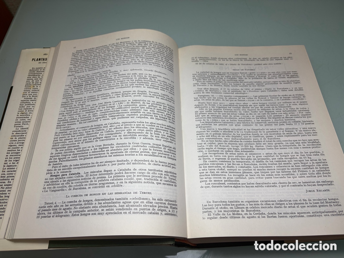 Libros: Libro &ldquo;Plantas Medicinales&rdquo; de Pio Font Quer - Foto 6