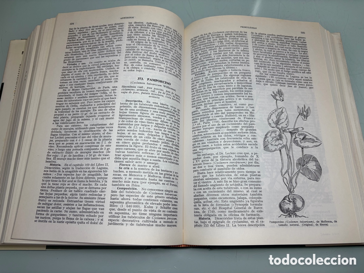 Libros: Libro &ldquo;Plantas Medicinales&rdquo; de Pio Font Quer - Foto 8