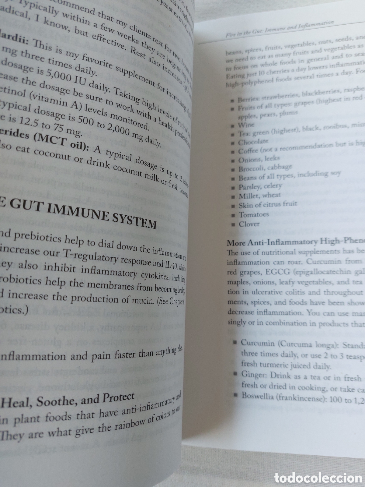 Libros: Digestive Wellness. Elizabeth Lipski - Foto 6