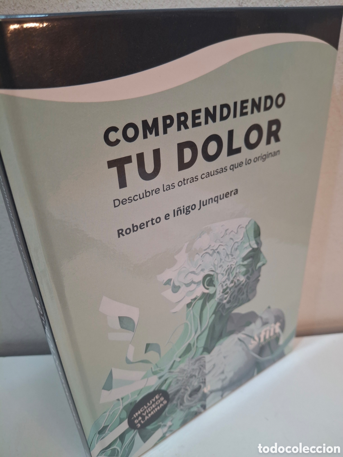 Libros: COMPRENDIENDO TU DOLOR, DESCUBRE LAS OTRAS CAUSAS QUE LO ORIGINAN, MANDALA-FISIOONLINE, 2023