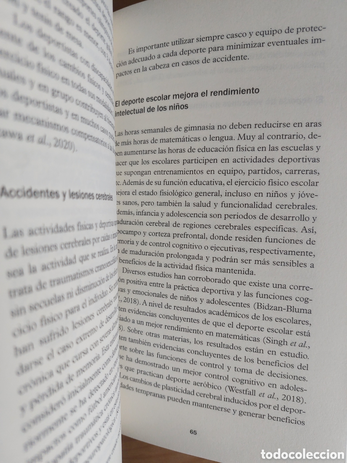 Libros: Cerebro y ejercicio. Jos&eacute; Luis Trejo. CSIC - Foto 4