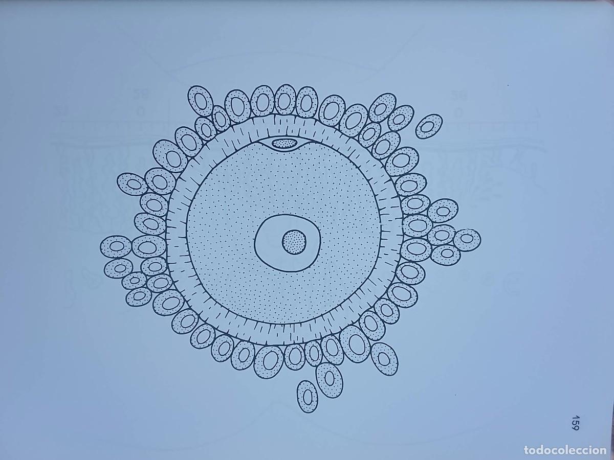 Libros: MEDICAL ILLUSTRATION - Foto 2