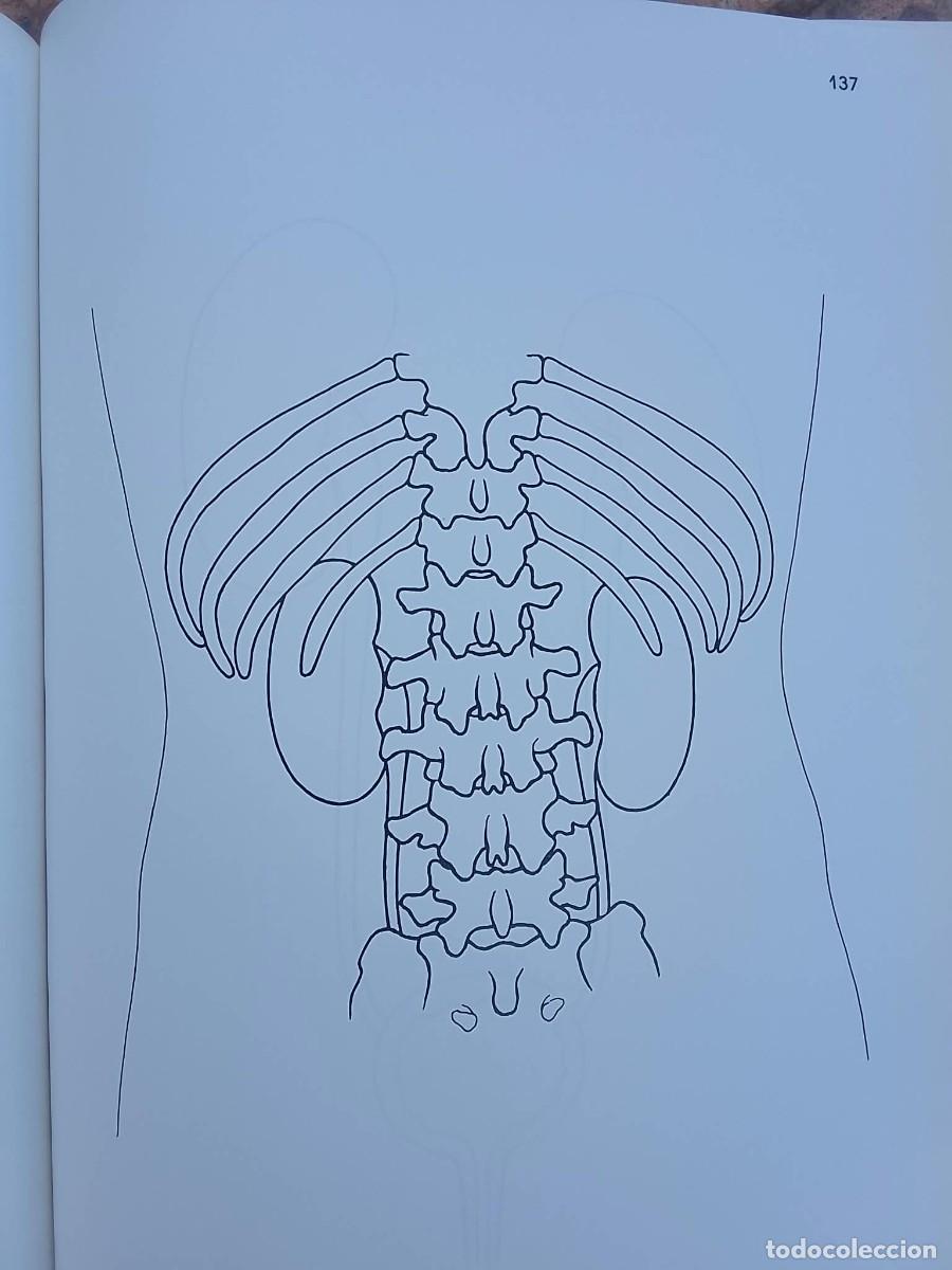 Libros: MEDICAL ILLUSTRATION - Foto 6
