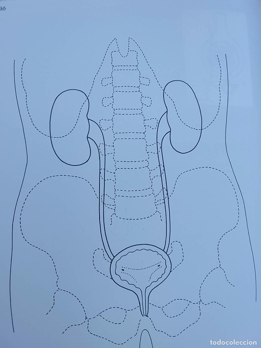 Libros: MEDICAL ILLUSTRATION - Foto 7