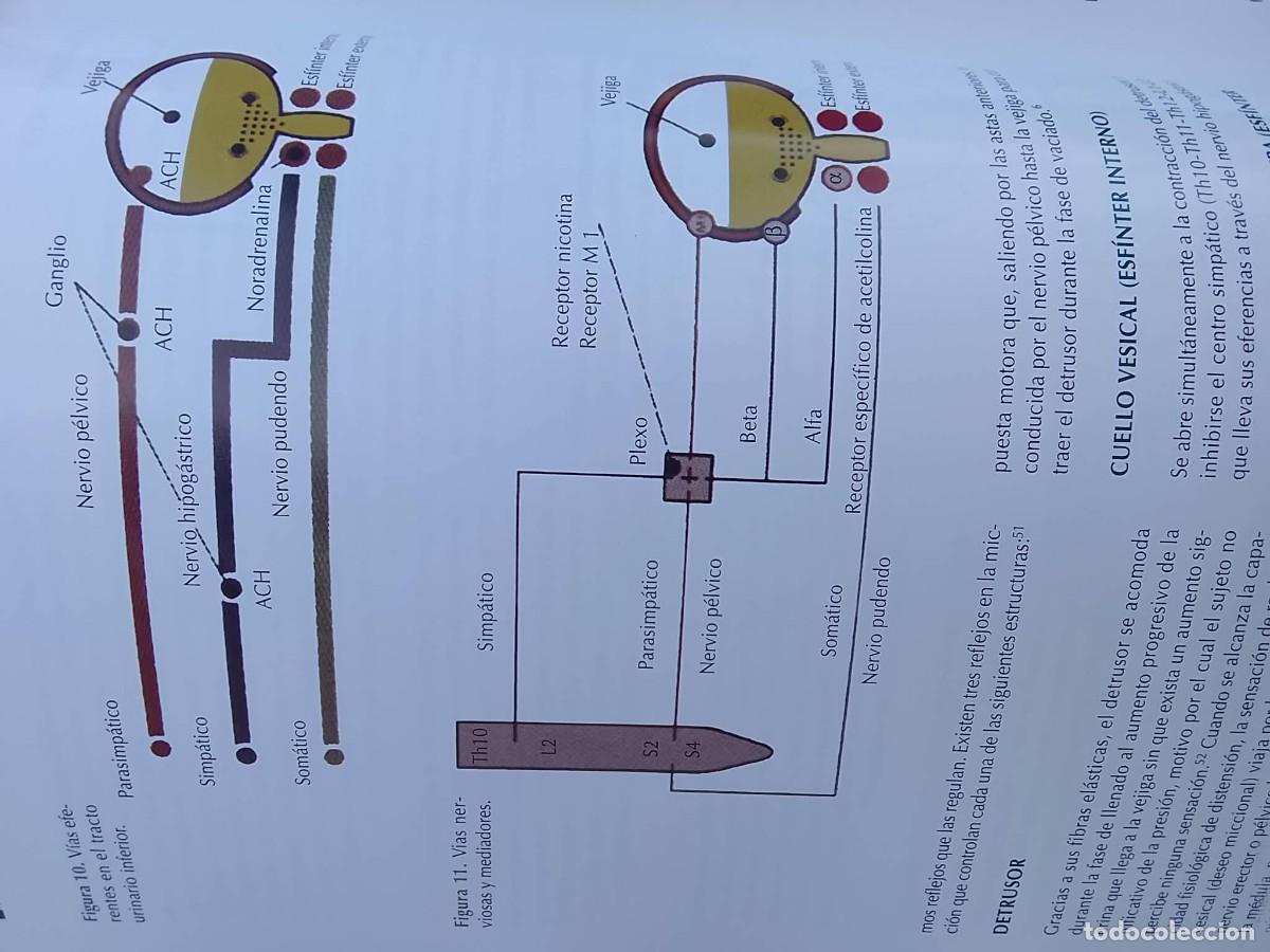 Libros: ATLAS DE URODINAMICA - Foto 4
