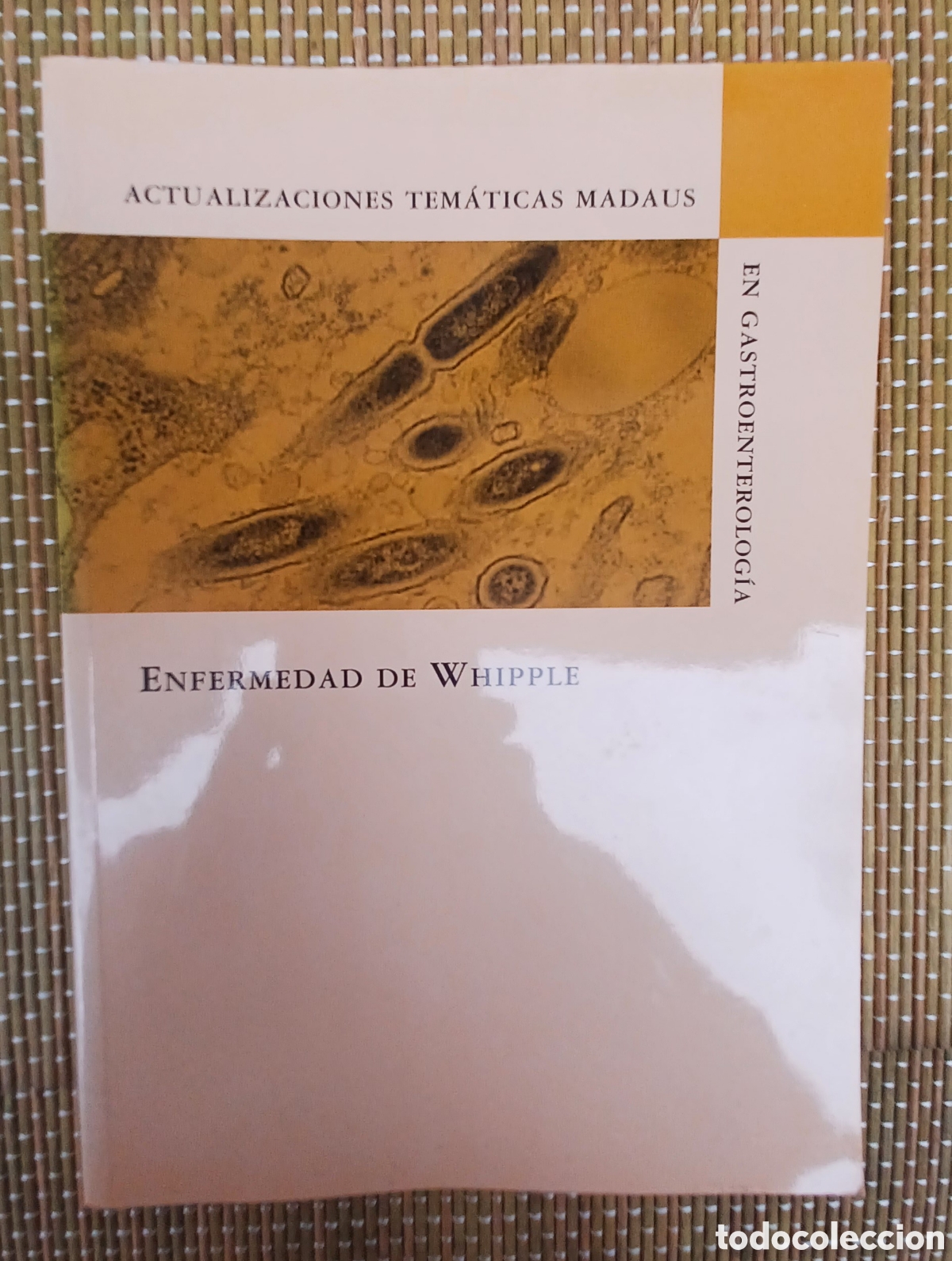 Libros: Enfermedad de Whipple. Actualizaciones tem&aacute;ticas Madaus