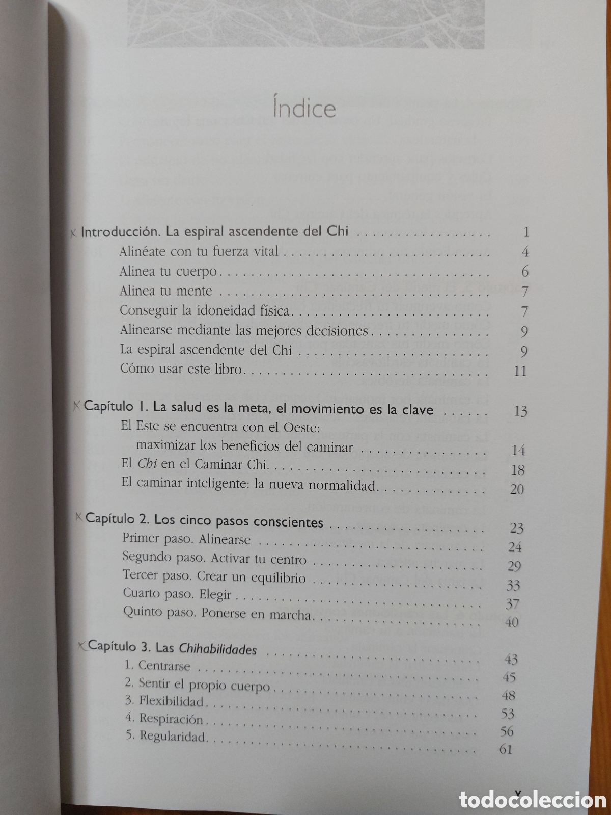 Libros: El caminar chi. Danny y Katherine Dreyer - Foto 3