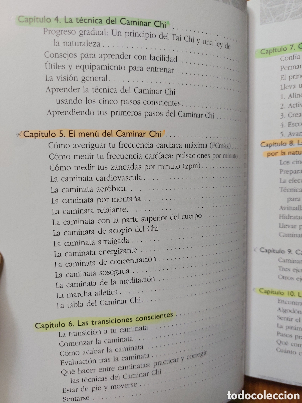 Libros: El caminar chi. Danny y Katherine Dreyer - Foto 4