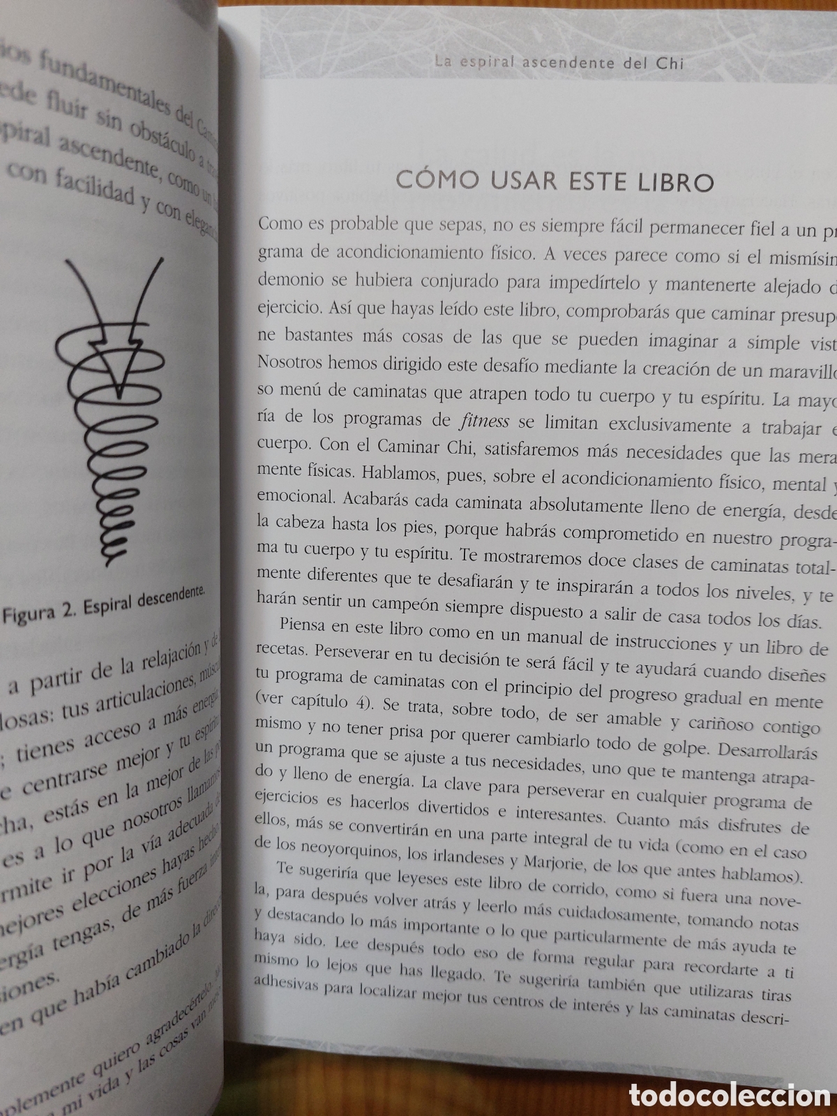 Libros: El caminar chi. Danny y Katherine Dreyer - Foto 7