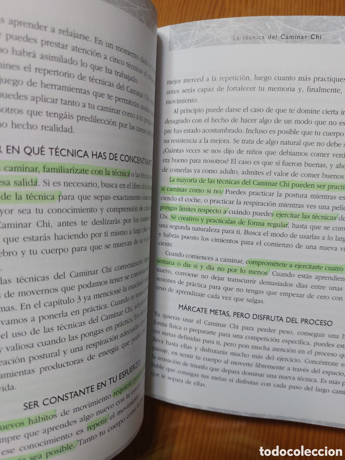 Libros: El caminar chi. Danny y Katherine Dreyer - Foto 8
