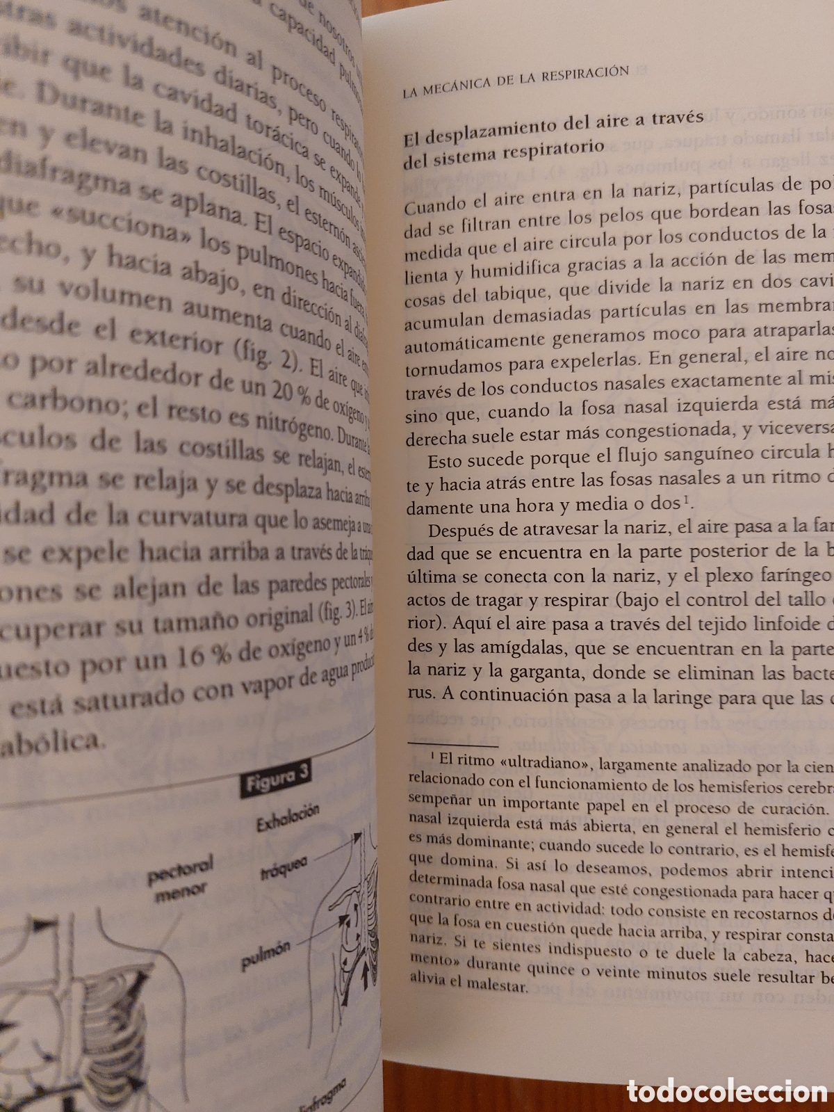 Libros: El tao de la respiraci&oacute;n - Foto 5