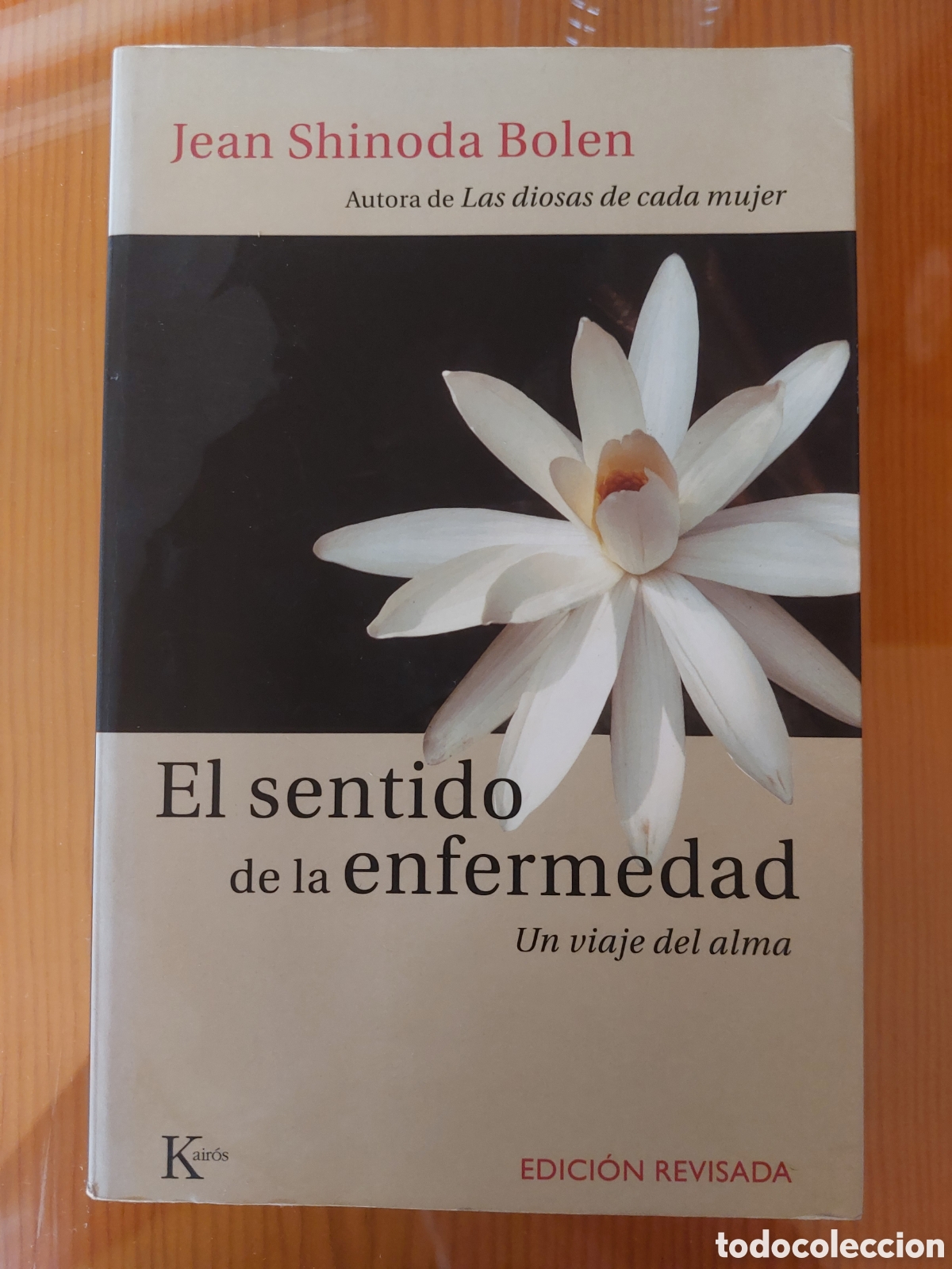 Libros: El sentido de la enfermedad