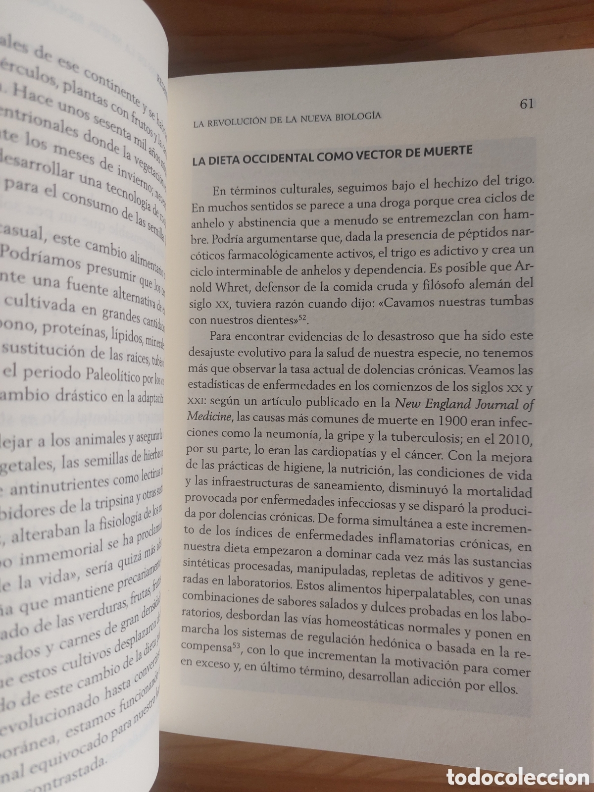 Libros: Regen&eacute;rate. Sayer Ji - Foto 5