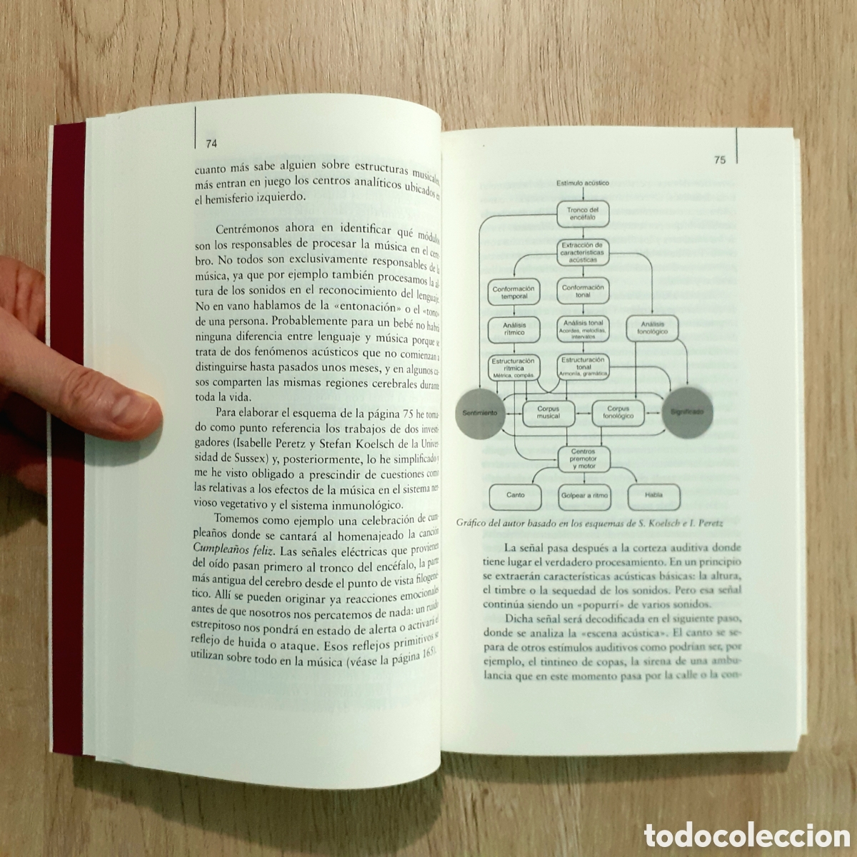 Libros: Libro LA SEDUCCI&Oacute;N DE LA M&Uacute;SICA - Foto 9