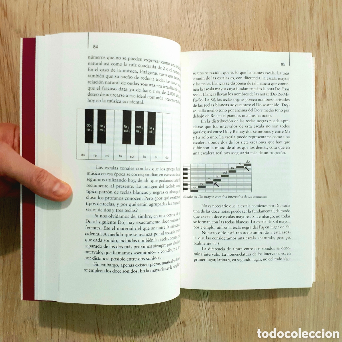 Libros: Libro LA SEDUCCI&Oacute;N DE LA M&Uacute;SICA - Foto 11