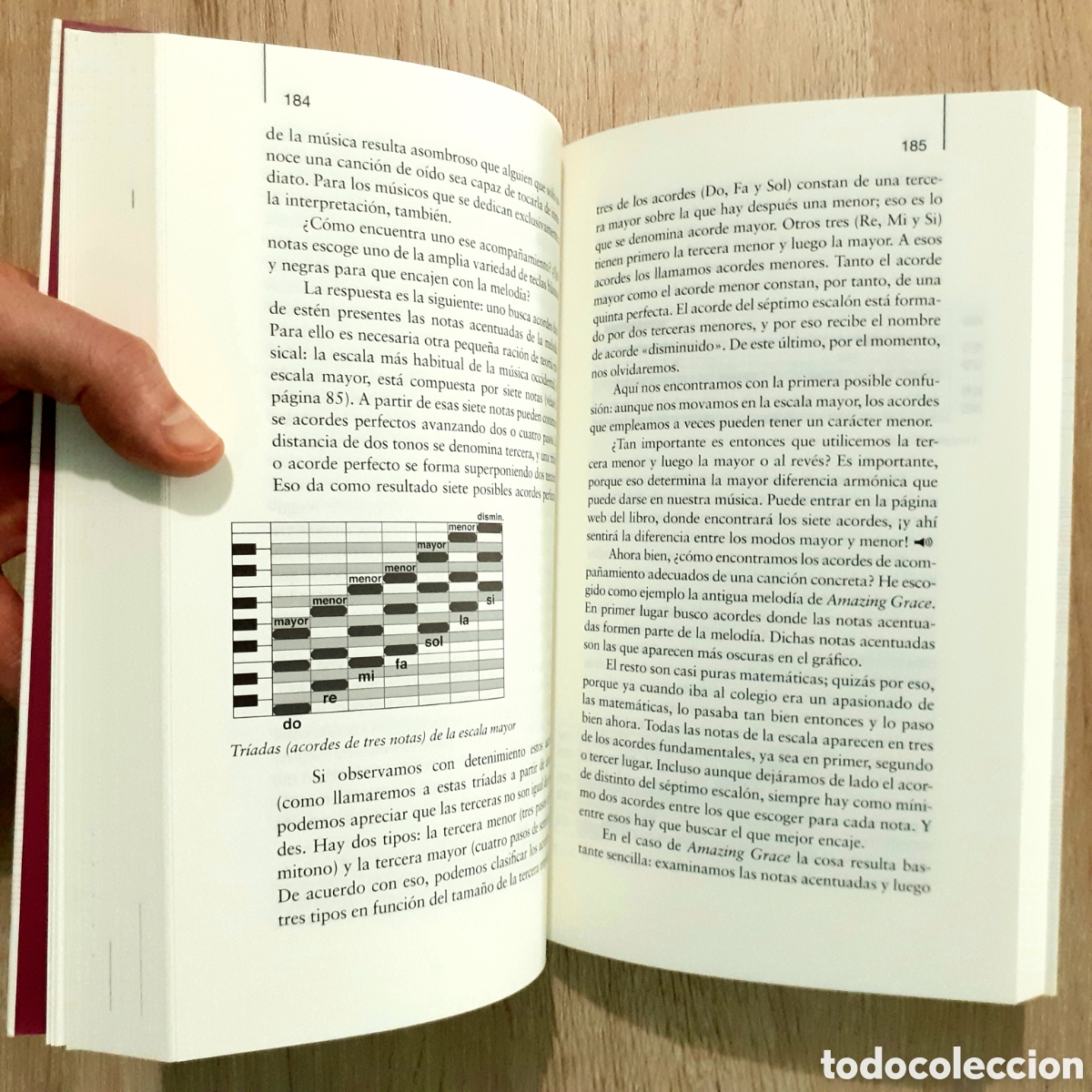 Libros: Libro LA SEDUCCI&Oacute;N DE LA M&Uacute;SICA - Foto 14