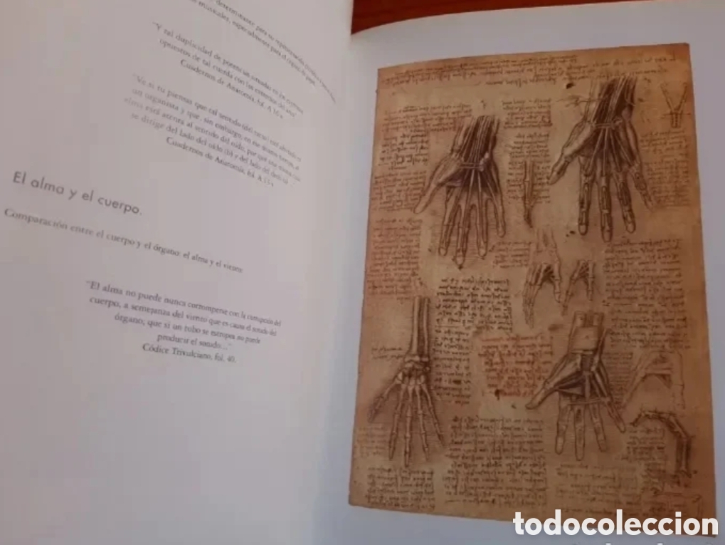 Libros: Leonardo Da Vinci y la m&uacute;sica - Foto 3