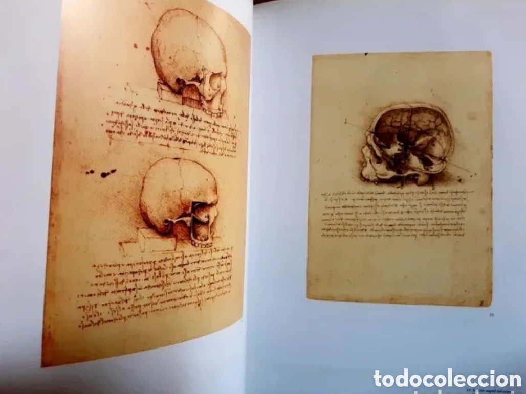 Libros: Leonardo Da Vinci y la m&uacute;sica - Foto 5
