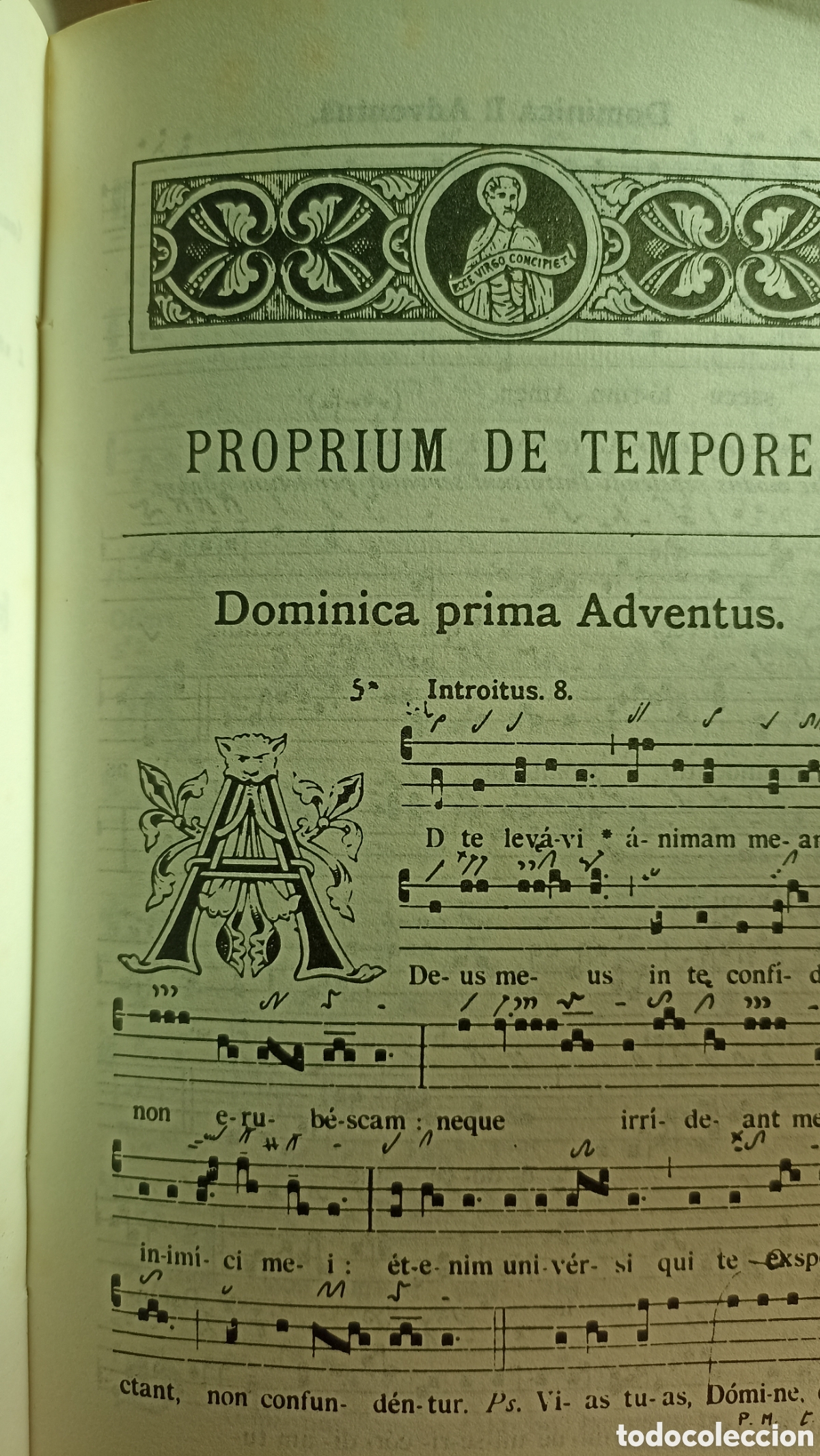 Libros: Graduel Neume. Dom Eug&egrave;ne Cardine, - Foto 3