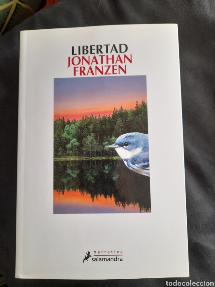 Libros: Libertad. Jonathan Franzer - Foto 1