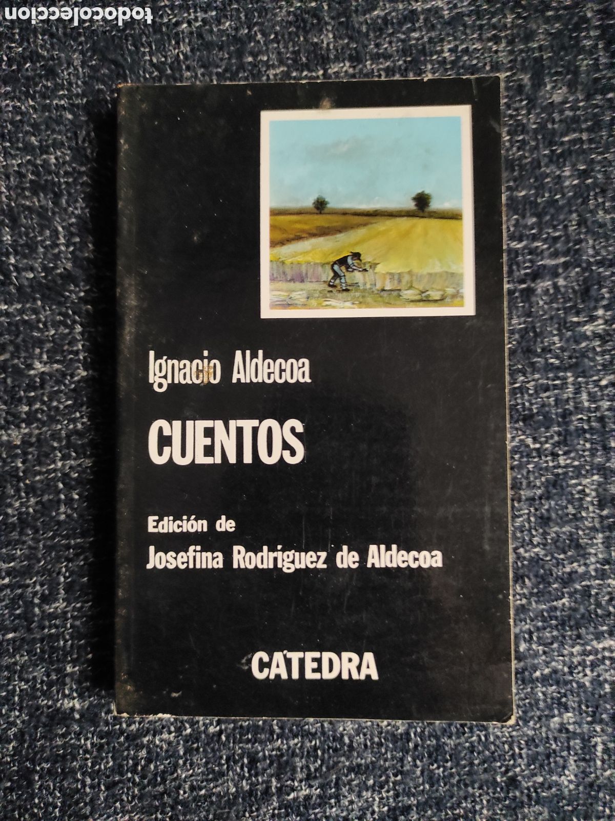 Libros: CUENTOS / IGNACIO ALDECOA -ED. C&Aacute;TEDRA - Foto 1