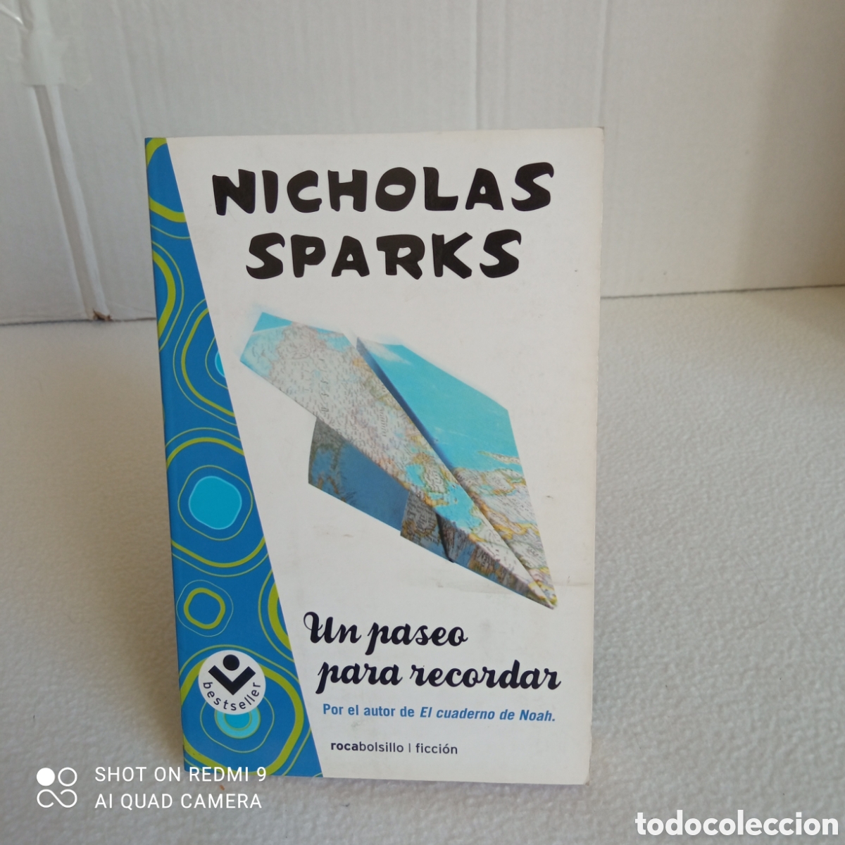 Libros: Un paseo para recordar - Foto 1