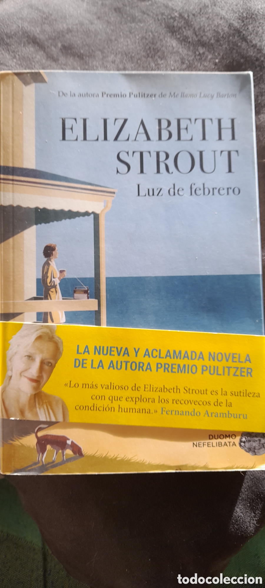 Libros: Luz de febrero. Elisabeth Strout - Foto 1