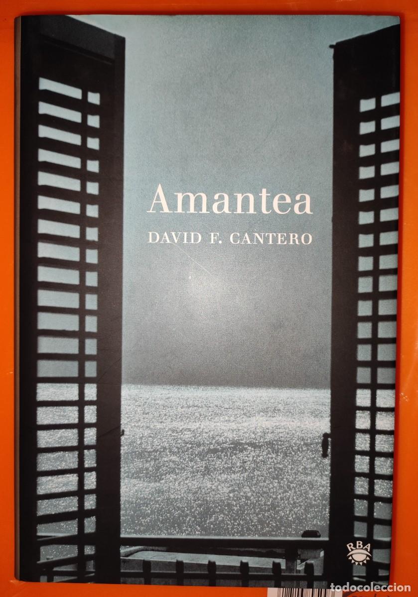 Libros: Libro AMANTEA David Cantero - Foto 1