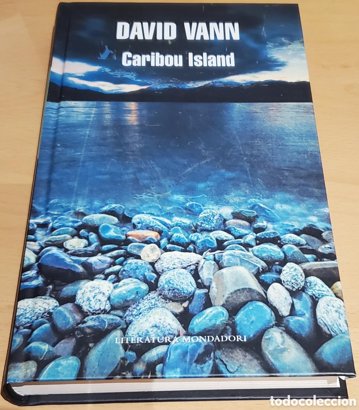 Libros: Caribou island - David Vann - Foto 1