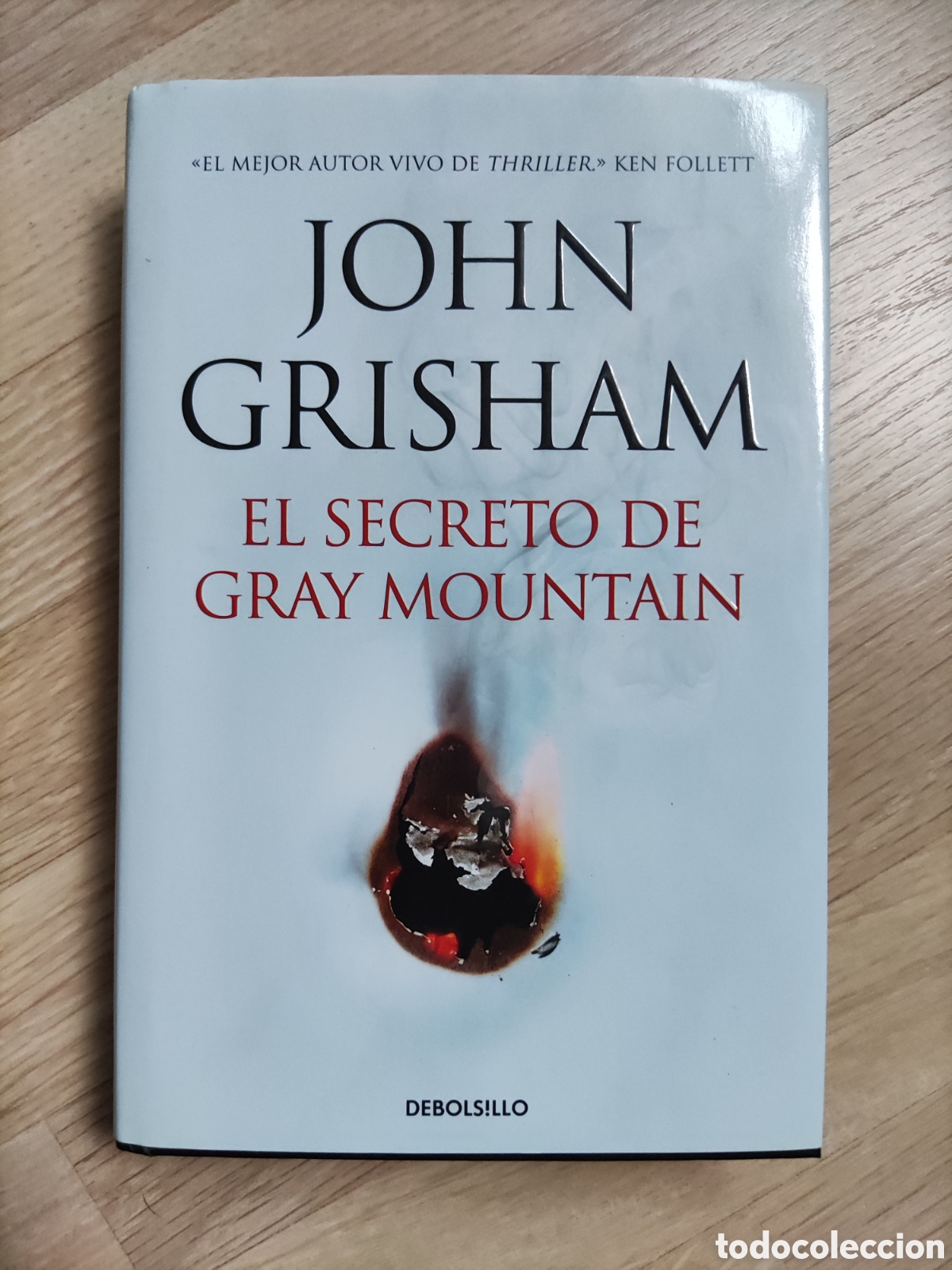 Libros: El secreto de Gray Montain - Foto 1