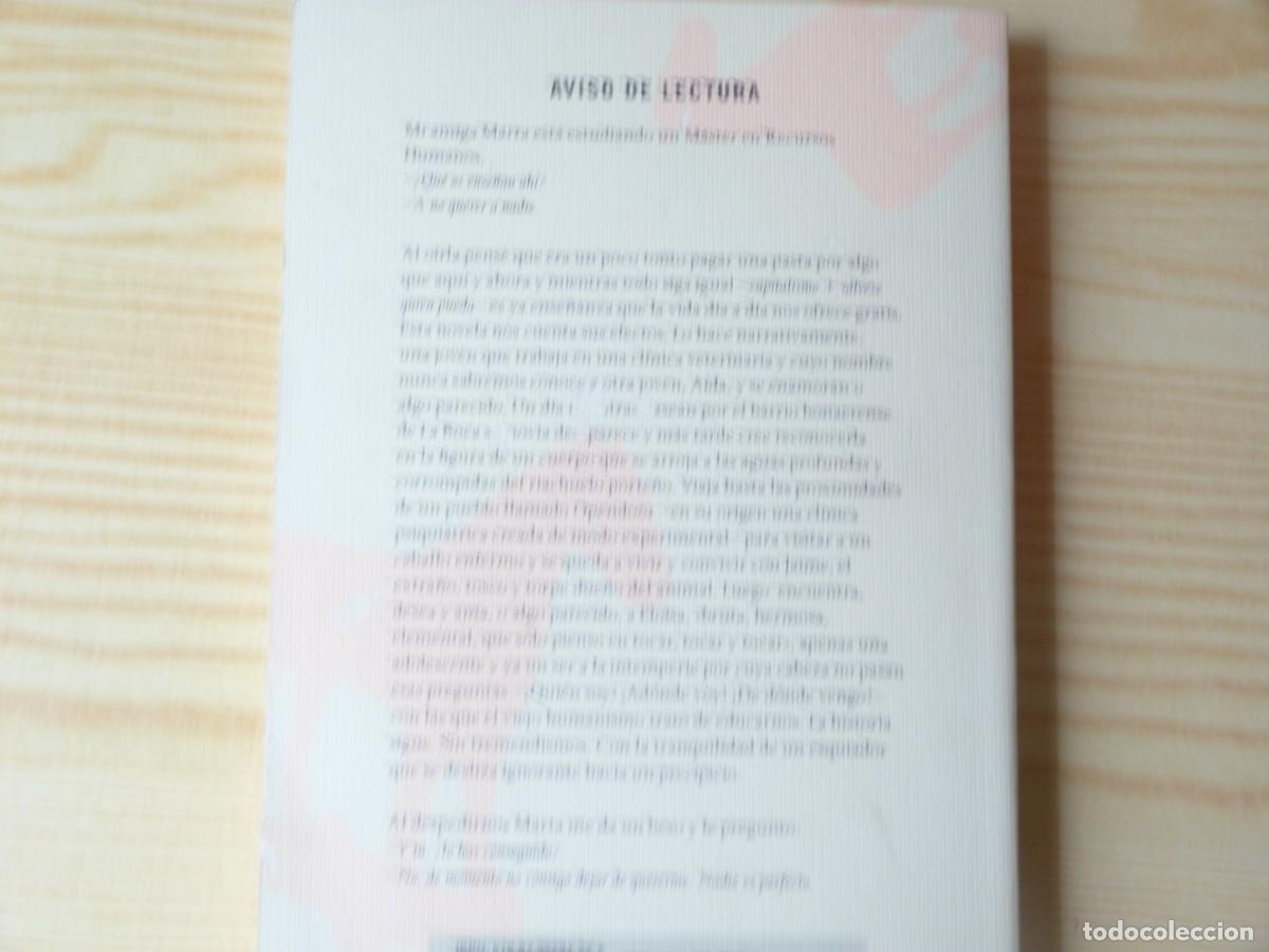 Libros: Opendoor, de Iosi Havilio - Foto 2