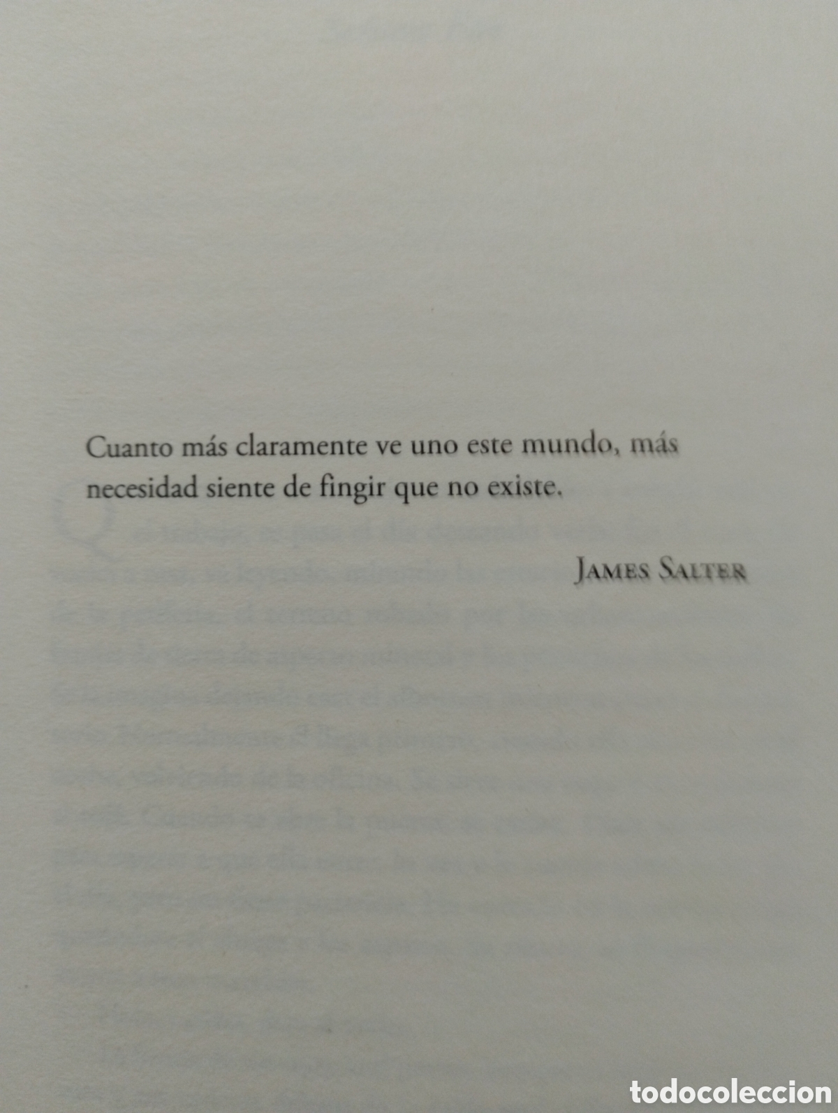 Libros: MADAME ZERO Y LA HERMOSA INDIFERENCIA. - Foto 6