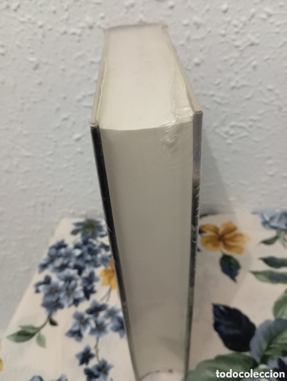 Libros: Las llanuras del tr&aacute;nsito. Jean M. Auel - Foto 2