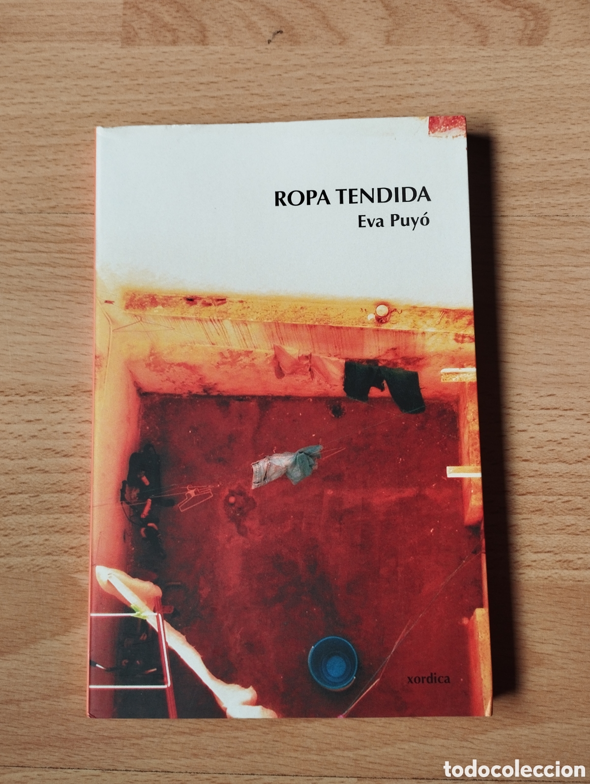 Libros: Ropa tendida. Eva Puyo - Foto 1