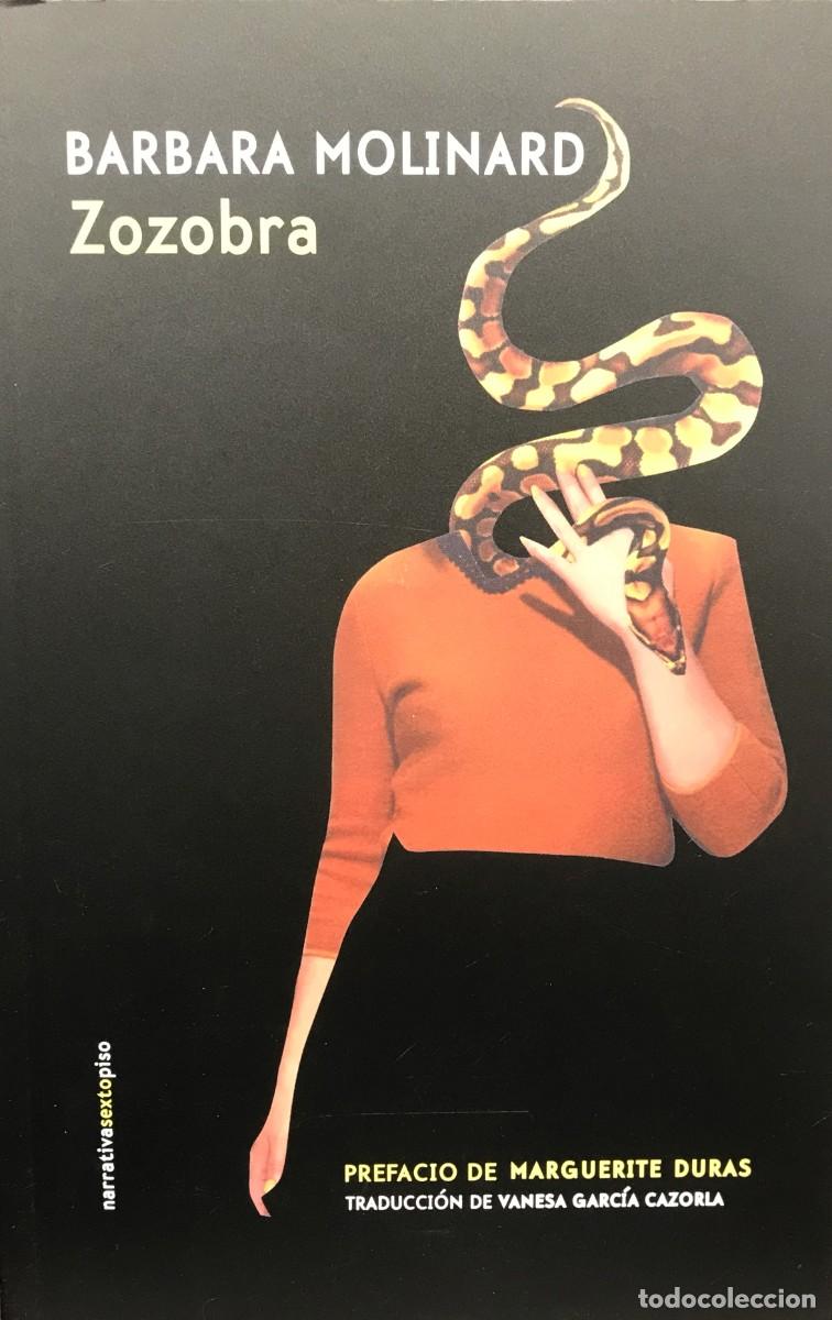 Libros: Zozobra, Barbara Molinard, Sexto Piso Editorial - Foto 1