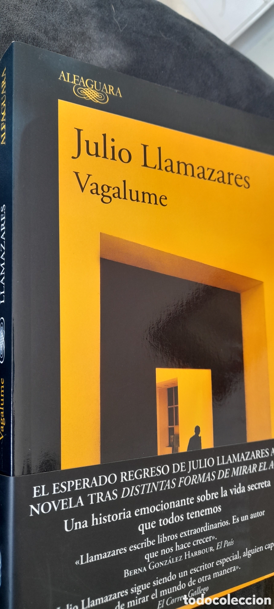 Libros: Vegalume. Julio Llamazares - Foto 3
