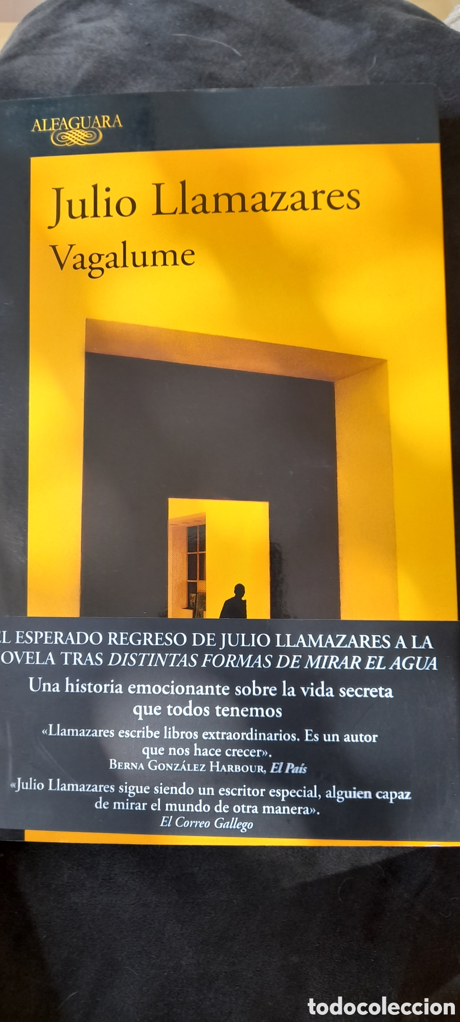 Libros: Vegalume. Julio Llamazares - Foto 1
